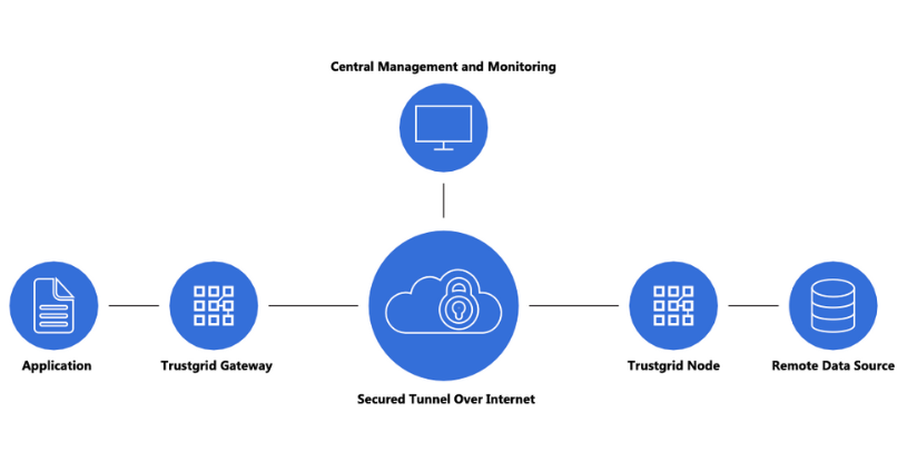 Trustgrid Connect Platform 1